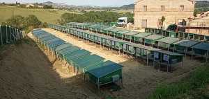 IMG-20200310-WA0157