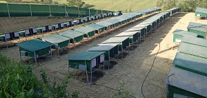PANO_20190601_182205