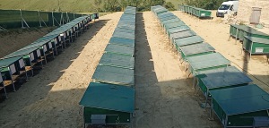 PANO_20190601_182231